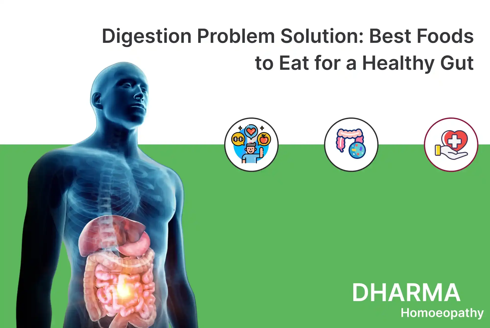 Digestion Problem Solution_ Best Foods to Eat for a Healthy Gut