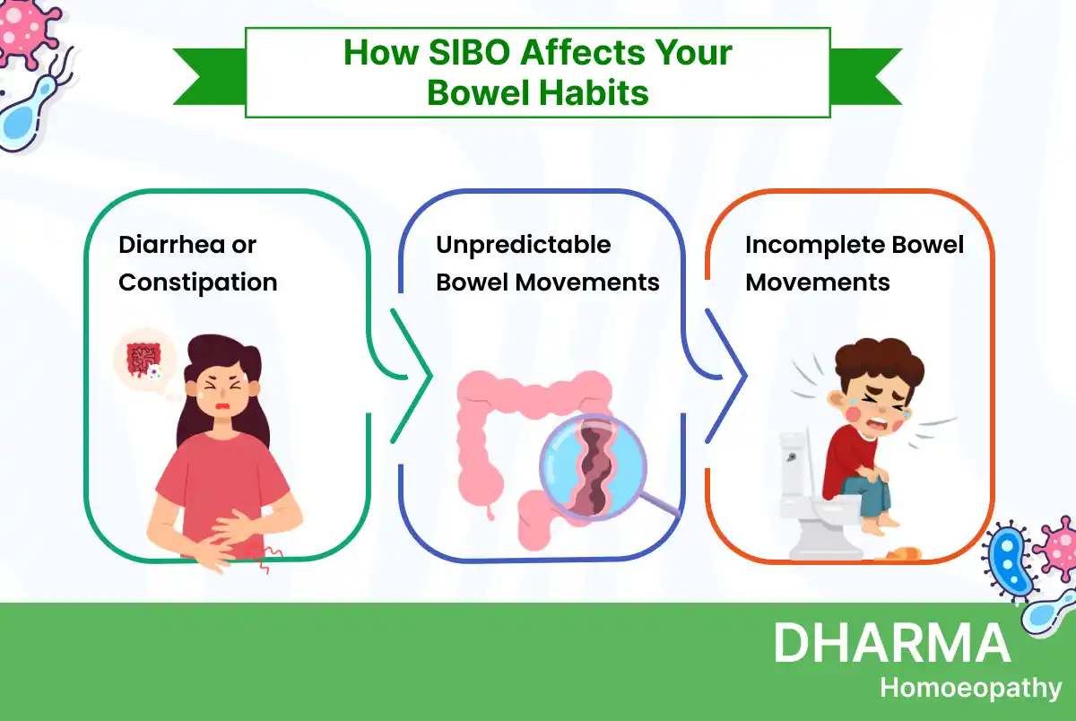Graphic showing how Small Intestinal Bacterial Overgrowth (SIBO) affects bowel habits, including diarrhea or constipation, unpredictable bowel movements, and incomplete bowel movements. Each symptom is represented by cartoon-style illustrations, with DHARMA Homoeopathy branding below.