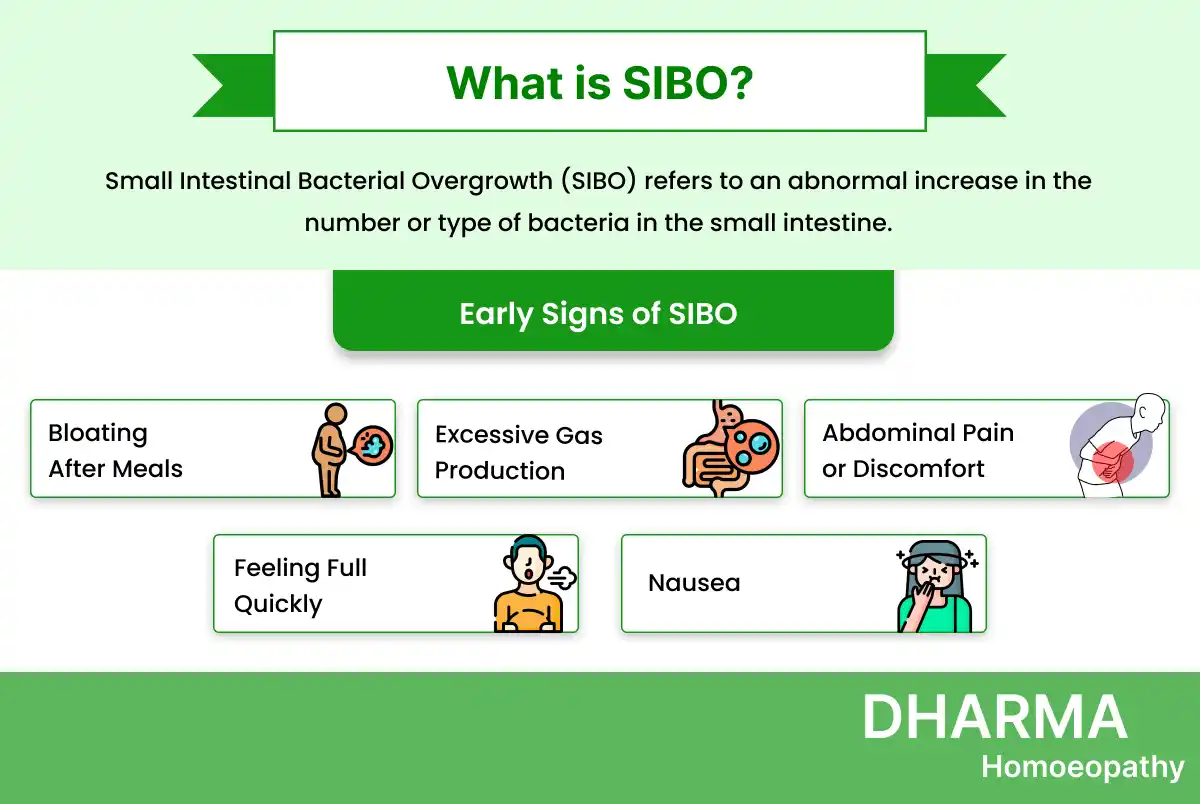 Educational graphic defining SIBO as Small Intestinal Bacterial Overgrowth, highlighting early signs such as bloating after meals, excessive gas, abdominal pain, feeling full quickly, and nausea. Visual icons represent each symptom, with DHARMA Homoeopathy branding at the bottom.