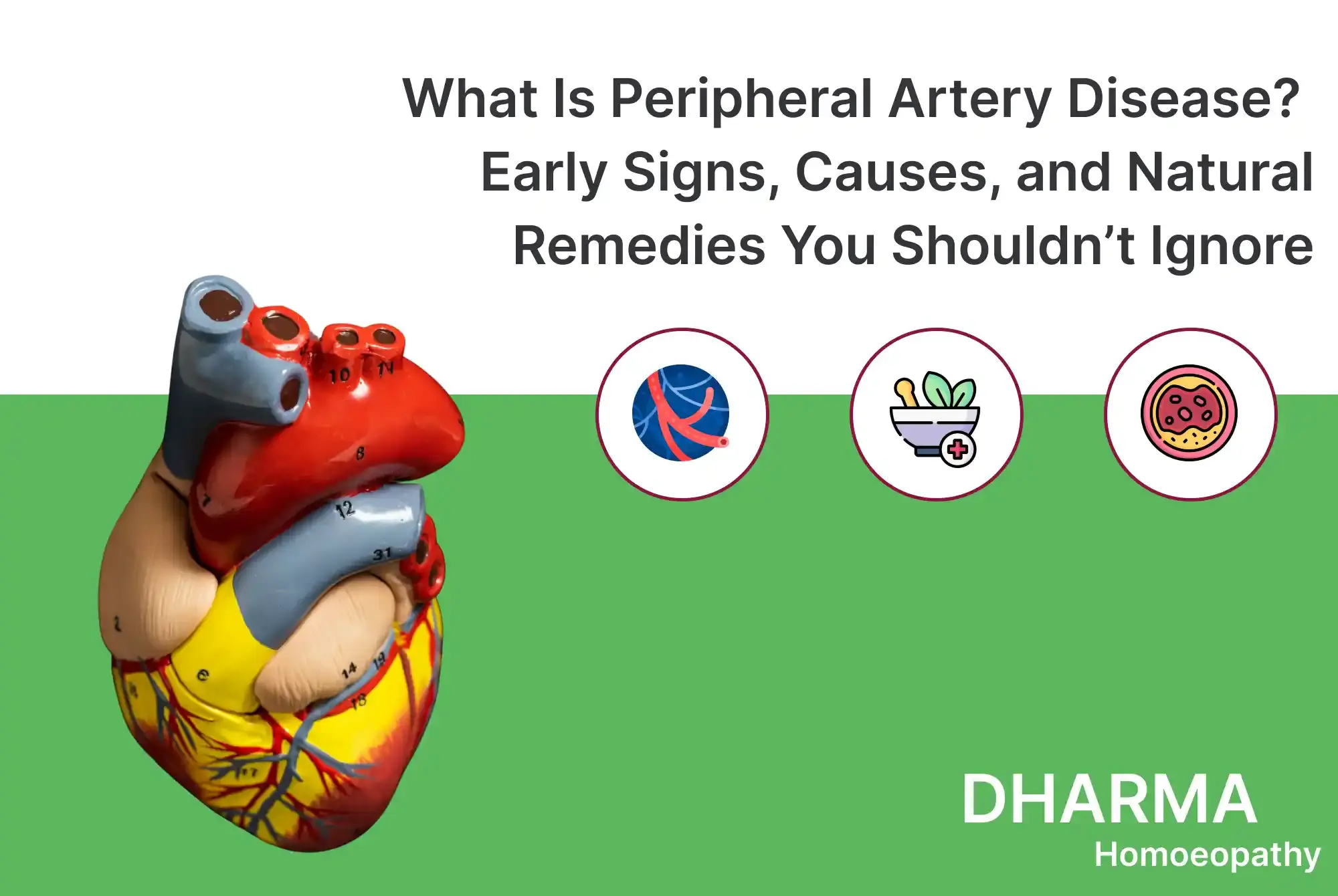 What Is Peripheral Artery Disease_ Early Signs, Causes, and Natural Remedies You Shouldn’t Ignore