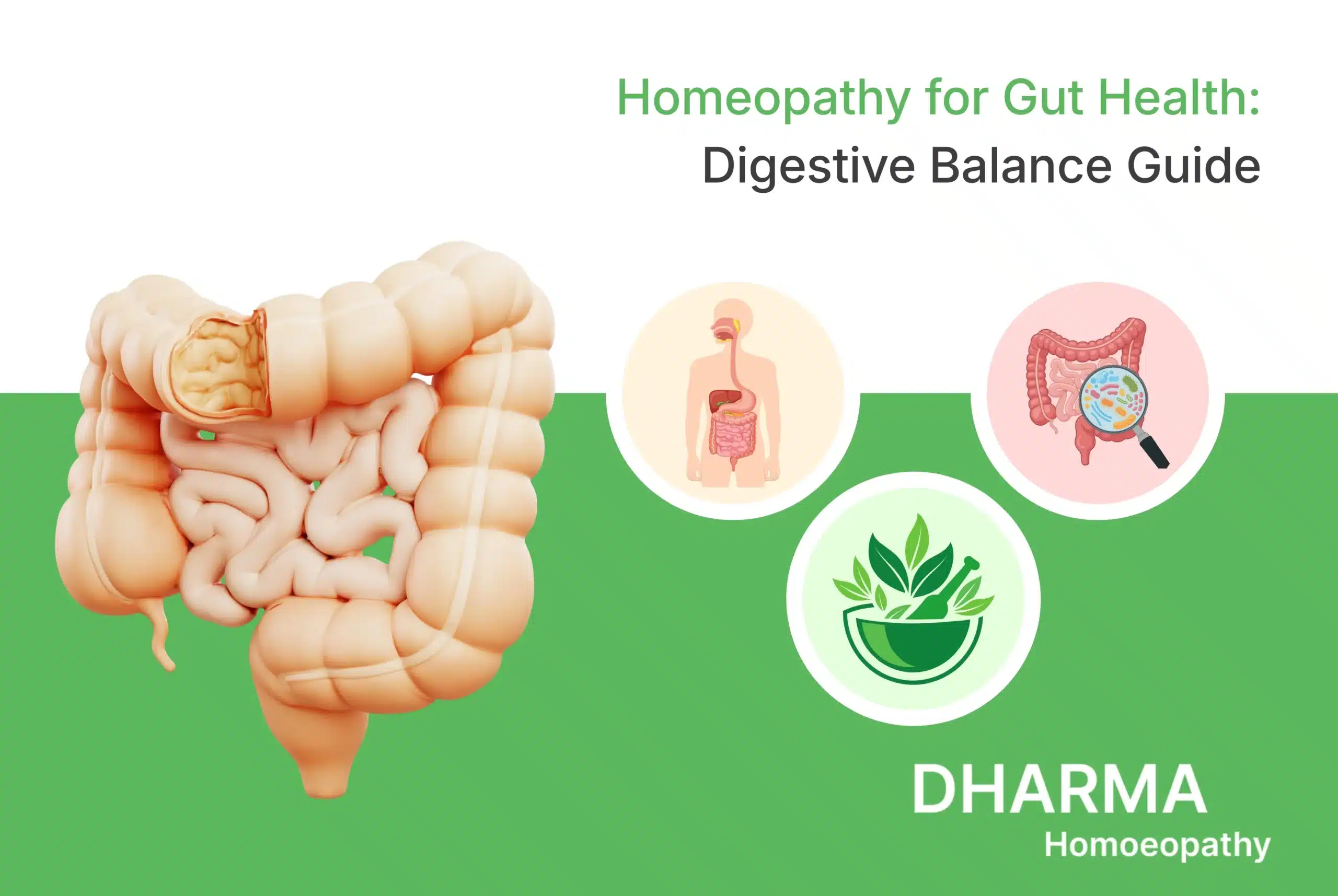 Homeopathy for Gut Health Digestive Balance Guide